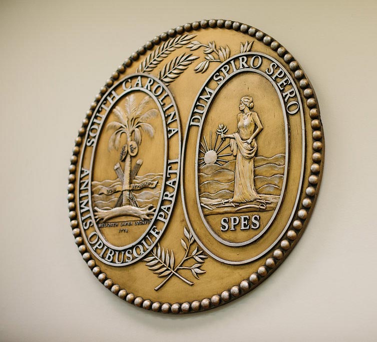 Hayes & Hayes Attorneys at Law | Rock Hill, SC | South Carolina decorative emblem